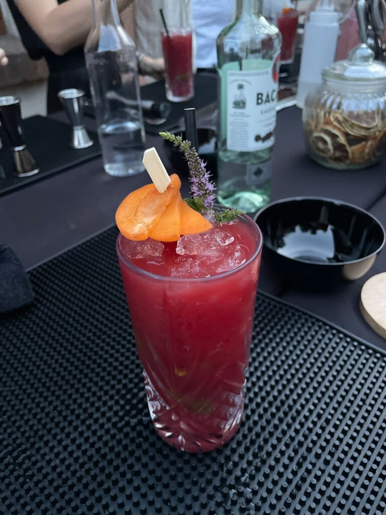 atelier-cours-snakembar3