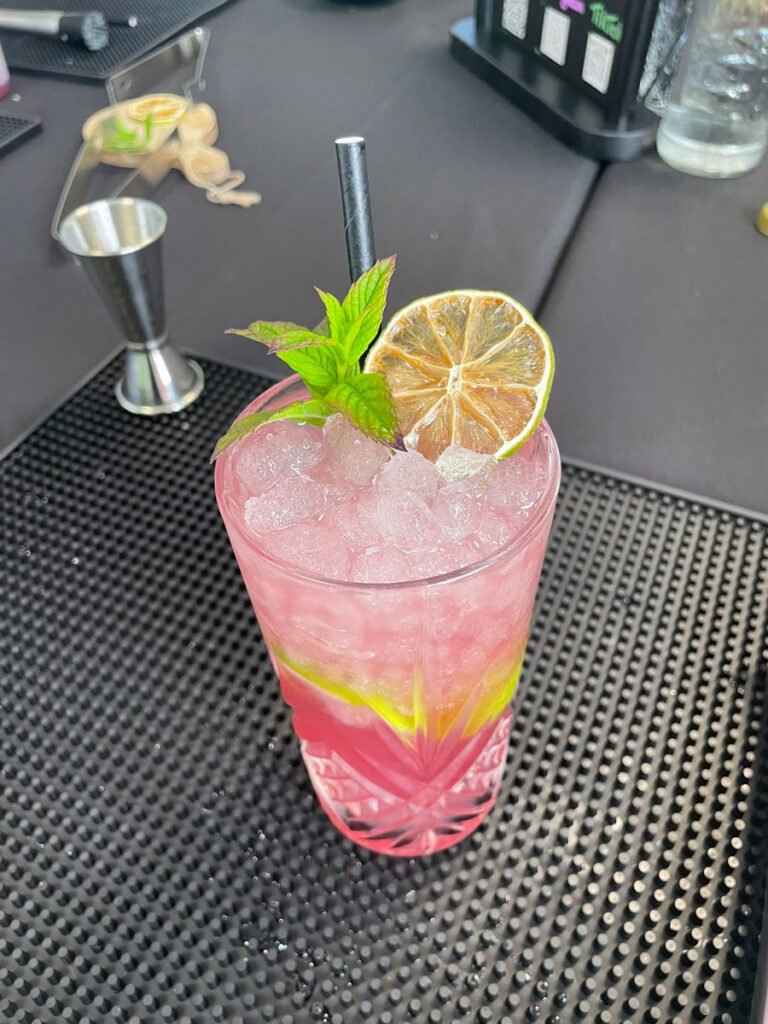 atelier-cours-snakembar5